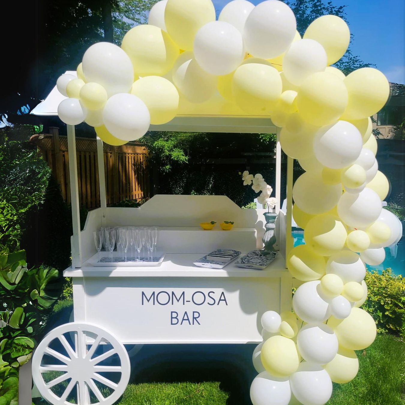 Candy Cart Rental