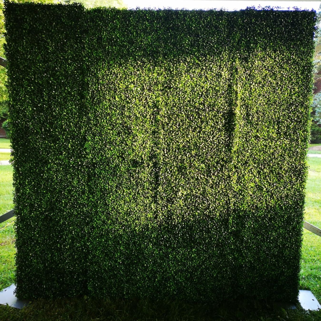  Green Boxwood Flower Wall Backdrop